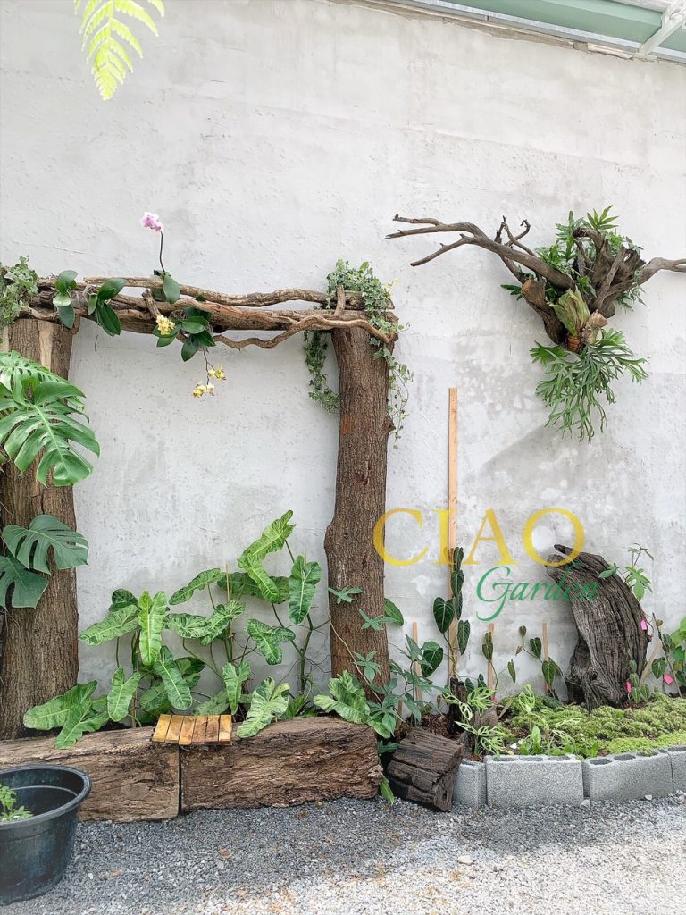 tiểu cảnh sân vườn