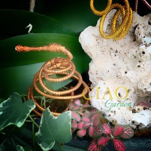 chậu hồ điệp 8 cành trắng