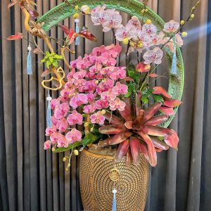 Ciao Garden - Chậu Lan hồ điệp phối lũa độc đáo ấn tượng- HDM305